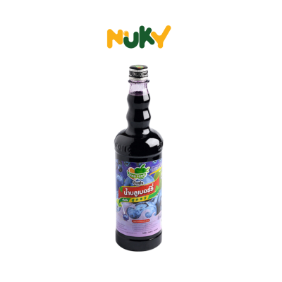 Siro Dingfong Việt Quất 760ml