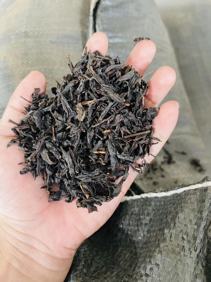 Công dụng của trà đen đối với sức khỏe